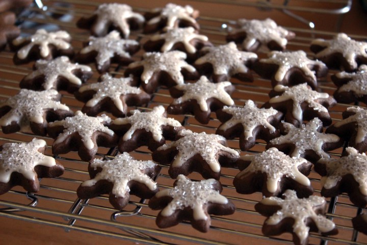 gingerbread-cookies-05